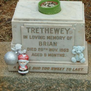 TRETHEWEY Brian -1953