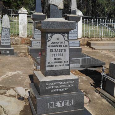 MEYER Elizabeth Teresa 1952-1993