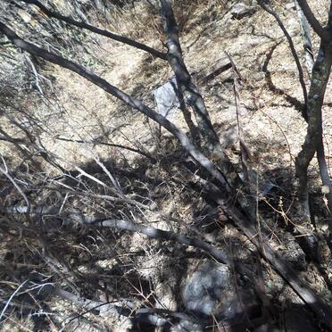 Gauteng, ALBERTON district, Reading, Klipriviersberg_2 cemetery