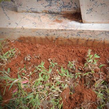 BONESCHANS Herman Cornelis 1977-2000