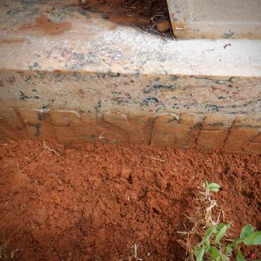 BONESCHANS Herman Cornelis 1977-2000