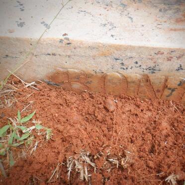 BONESCHANS Herman Cornelis 1977-2000