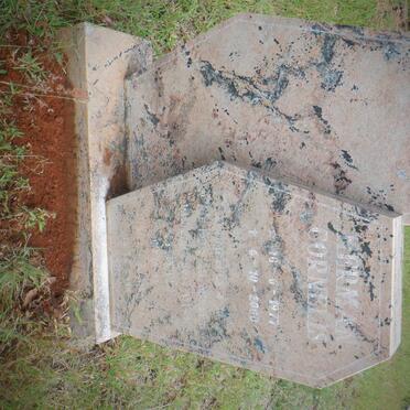 BONESCHANS Herman Cornelis 1977-2000