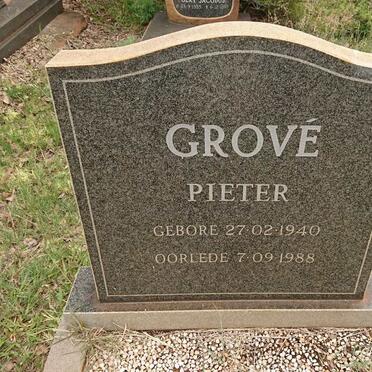 GROVE Pieter 1940-1988