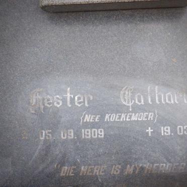 NIEKERK Hester Catharina, van nee KOEKEMOER 1909-1996