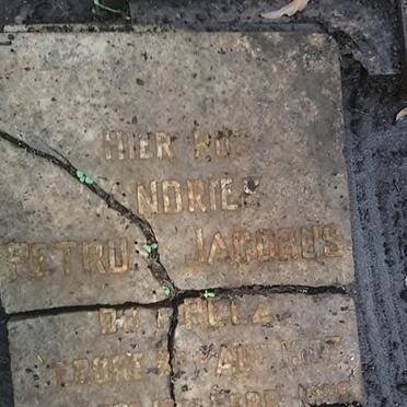 PREEZ Andries Petrus Jacobus, du 1907-1928