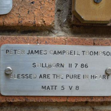 THOMPSON Peter James Campbell 1986-1986