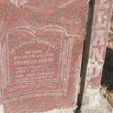 ? Patricia Sonto 1952-2004