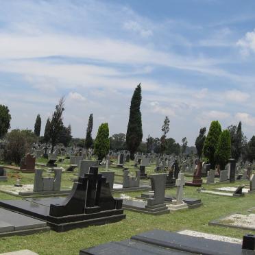 3. Overview