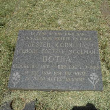 BOTHA Hester Cornelia MOOLMAN nee COETZEE 1916-1982