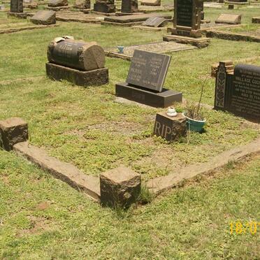 COCKROFT Wallace -1937 :: LOUW Moekie 1920-1988 :: LOUW H.J.J. 1938-1958