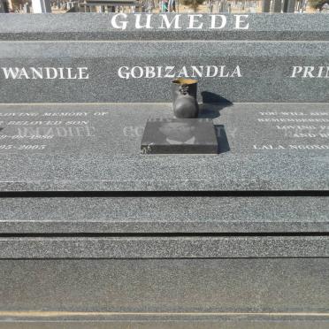 GUMEDE Wandile Gobizandla Prince 1986-2005