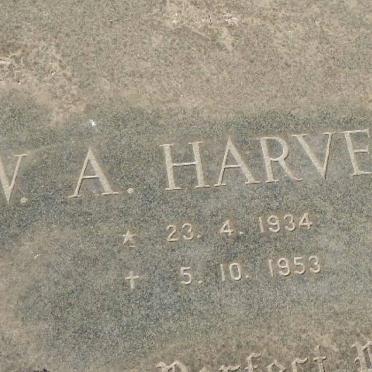 HARVEY W.A. 1934-1953