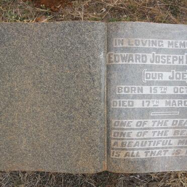 HORNING Edward Joseph 1913-1936