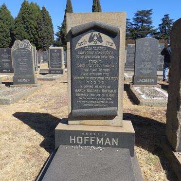 HOFFMAN Aaron Hacohen -1953