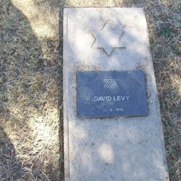 LEVY David 1919