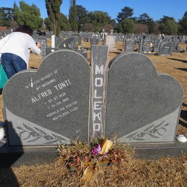 MOLEKO Alfred Tonti 1939-1998