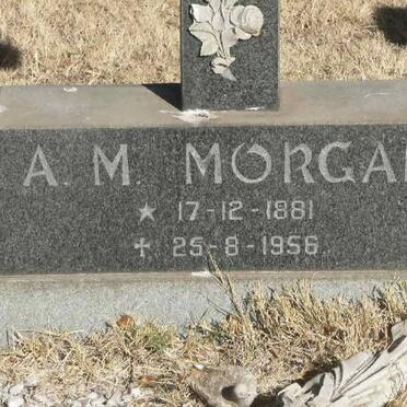 MORGAN A.M. 1881-1956