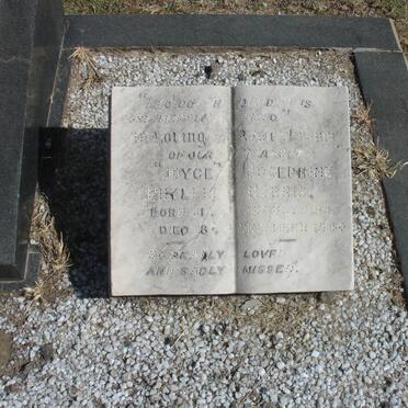 NORRIS John Henry 188?-1940 &amp; Christina Johanna 1888-19?4 :: NORRIS Joyce Josephine Phyllis 19??-19??