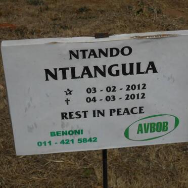 NTLANGULA Ntando 2012-2012