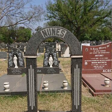 NUNES Manuel 1929-1989