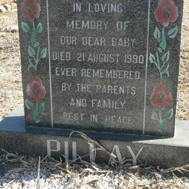 PILLAY -1990