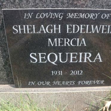 SEQUEIRA Shelagh Edelweiss Mercia 1931-2012