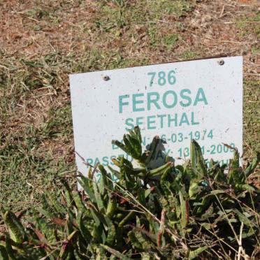 SEETHAL Ferosa 1974-2009