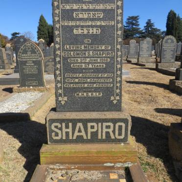SHAPIRO Solomon S. -1916