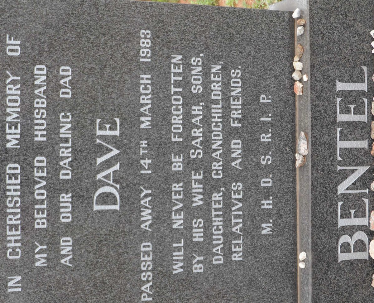 BENTEL Dave -1983