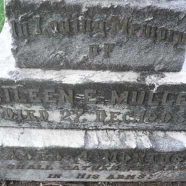 MULLER Eileen E. -1908