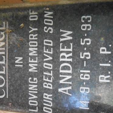 COLLINGE Andrew 1961-1993