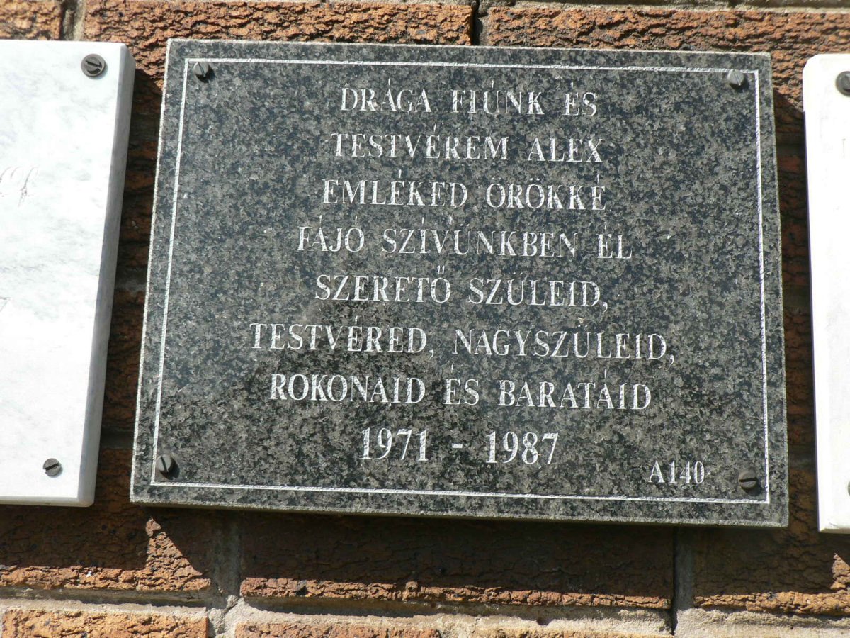 ? Alex 1971-1987