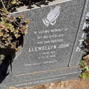 SMITH Llewellyn John 1971-1996