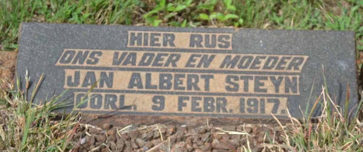 STEYN Jan Albert -1917