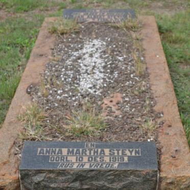 STEYN Jan Albert -1917 &amp; Anna Martha -1919
