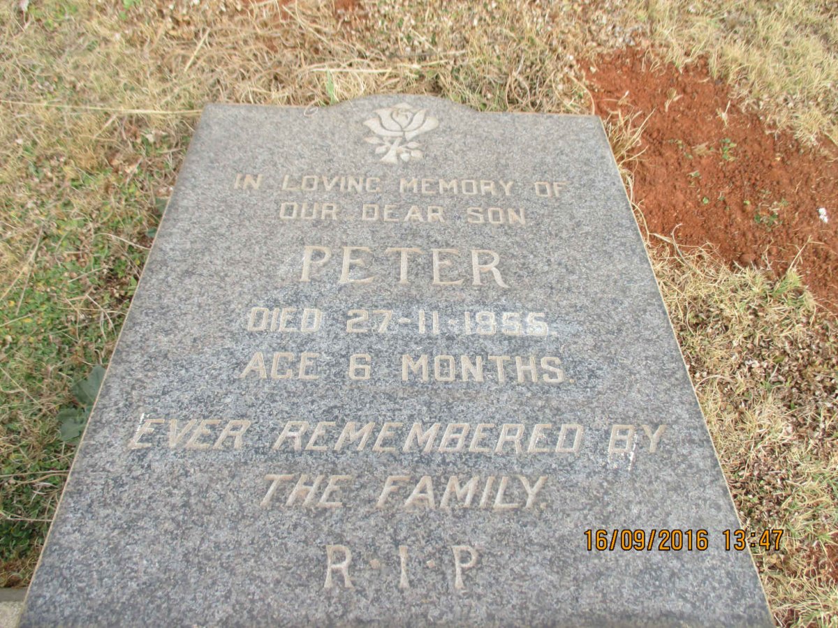 ? Peter -1955