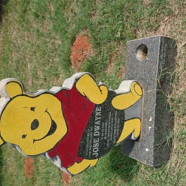 DWAYNE Jose 1990-1993