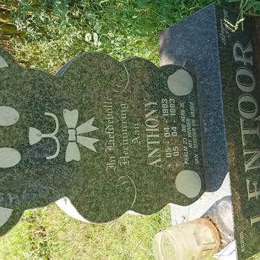 LENTOOR Anthony 1983-1983