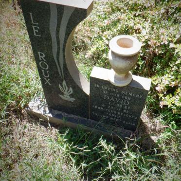 ROUX David, le 1967-1985
