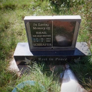 SCHEAFER Ismael 1953-1980