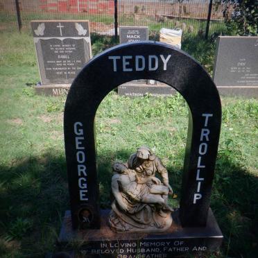 TROLLIP Teddy George