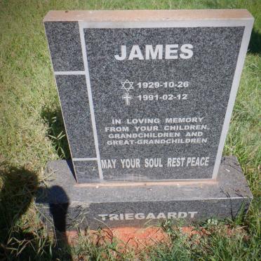 TRIEGAARDT James 1929-1991