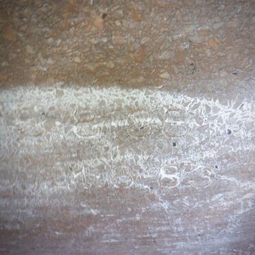 VEE Carl, de 1935-1983