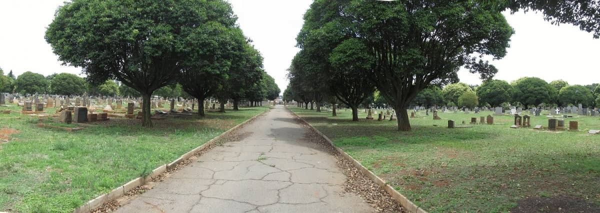2. Overview