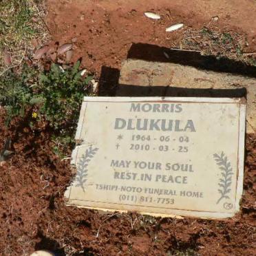DLUKULA Morris 1964-2010