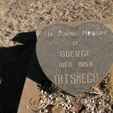 DITSHEGO Goerge -1958