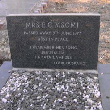 MSOMI E.C. -1977