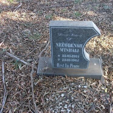 MTSHALL Necolenah 1964-1964