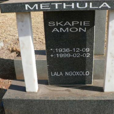 METHULA Skapie Amon 1936-1999